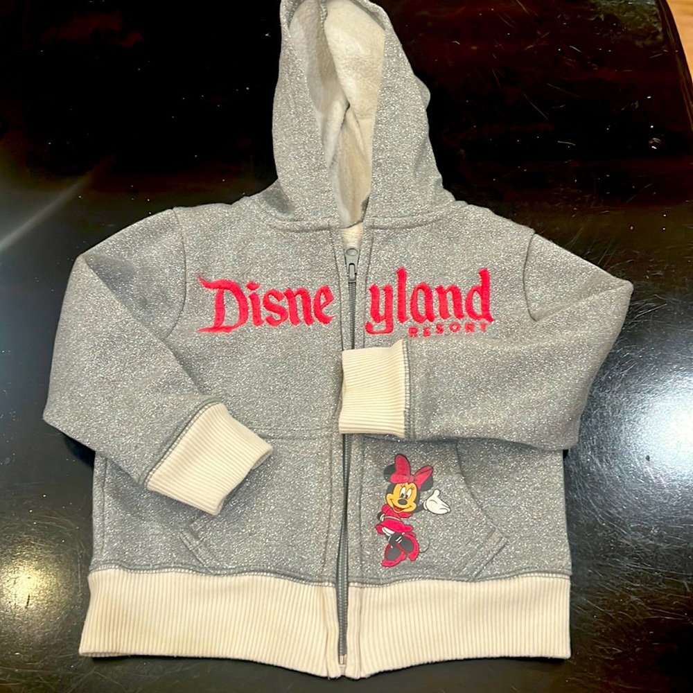 Disneyland Resort Sparkle sweatsuit